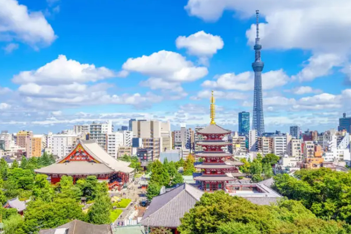 [도쿄] 프라이빗 차량렌탈