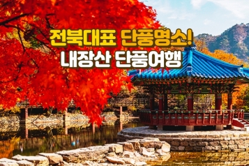 [가을단풍투어] 전북 대표 단풍명소! 내장산 당일투어