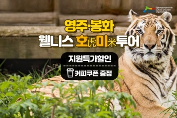[웰니스여행] 영주·봉화 웰니스 호미투어(개별 출발)