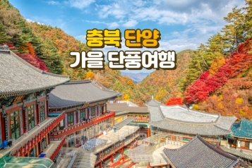 [가을단풍투어] 아름다운 가을 여행지 단양 당일투어