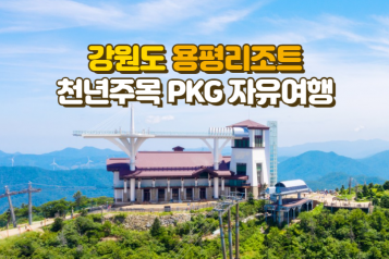 용평리조트+발왕산케이블카 자유여행 2인