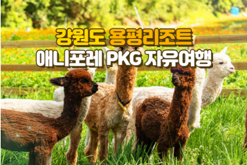 용평리조트+애니포레PKG 자유여행 2인