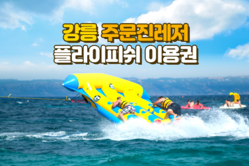 주문진레저 플라이피쉬 이용권