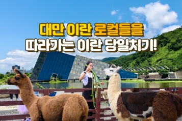 대만 로컬들을 따라가는 이란 당일치기!(난양박물관+장미아줌마농장+나동야시장)